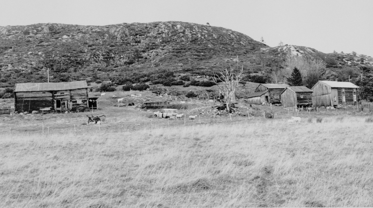 Haltland gård, Sandstad