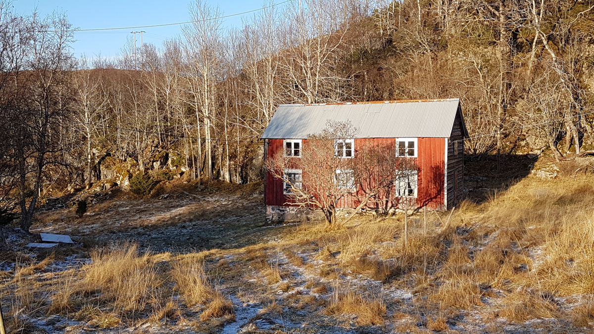 Henningsvika, Tranvikan 2019