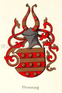 Flemming - våbenskjold (coat of arms)